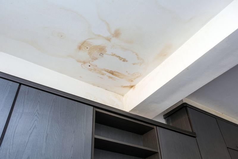 Building Damage Repair in Santa Rosa, CA