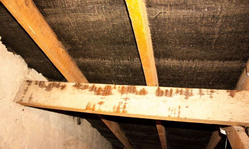 Building Repair Service in Houston, TX